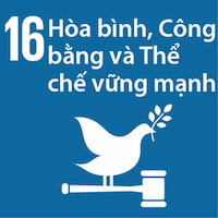 16. Hòa bình, công bằng và thể chế vững mạnh